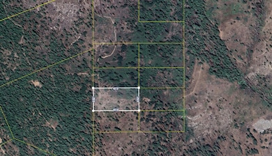 0 Shaver Lake unit 640388, Auberry, CA 93602 - photo 6