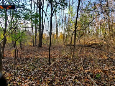 0 Pennsylvania Ave, Hampton Manor, NY 12144 - photo 6