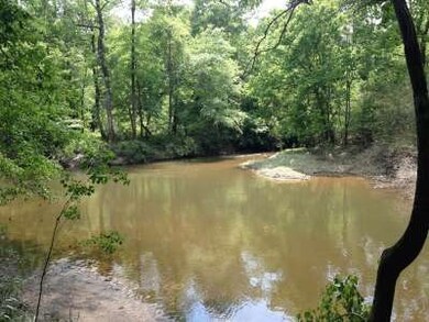. Old Hwy 51 S, Osyka, MS 39657 - photo 3
