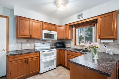 11680 Podunk Ave NE, Greenville, MI 48838 - photo 7