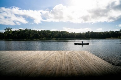 1867 Bolden Dr, Mount Pleasant, SC 29466 - photo 6