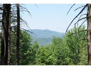 930 Turkey Hill Rd unit Lot 1, Northfield, VT 05663 - photo 5