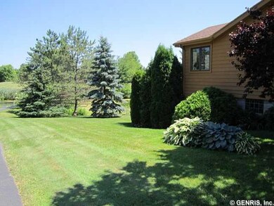 Yard/Garden