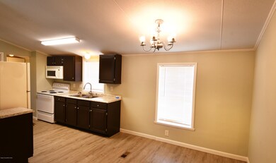 4282 Fountain Palm Road 3