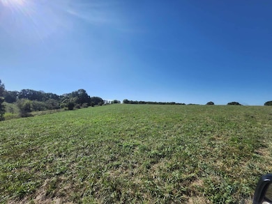 000 N Highway 95, Mountain Grove, MO 65711 - photo 6