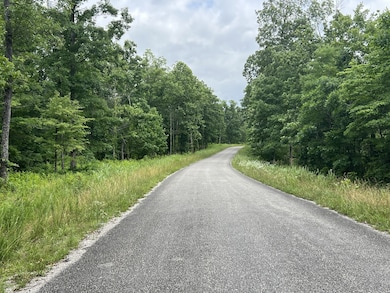 0 Slaughter Rd unit RTC3017612, Primm Springs, TN 38476 - photo 3