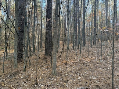 19.6 acres Willie Rd, Seagrove, NC 27341 - photo 6