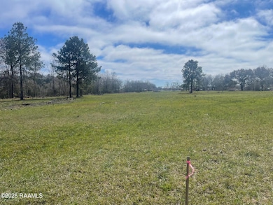 810 Malapart Rd unit Lot 4, Lafayette, LA 70507 - photo 2
