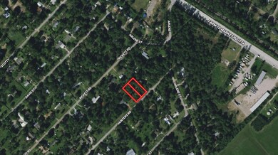 30207 Hunters Rd, Magnolia, TX 77355 - photo 4