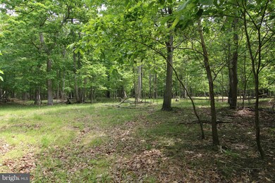 2420 Henson Dr, Marriottsville, MD 21104 - photo 3