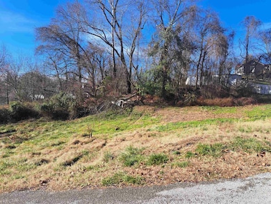 1721 Miller St, Ashland, KY 41101 - photo 2