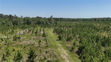 0 Deer Run Rd, Vidalia, GA 30474 - photo 7