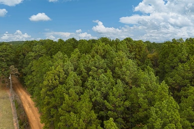 TBD Grace Scott Cutoff, Karnack, TX 75661 - photo 2