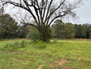 0- Wesley Rigdon Rd, Abraham Baldwin College, GA 31794 - photo 7