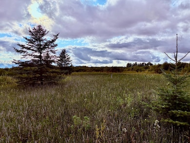 North side looking west