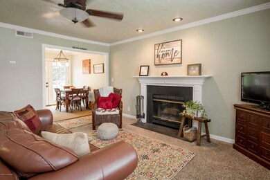 8804 Astrid Ave, Louisville, KY 40228 - photo 7