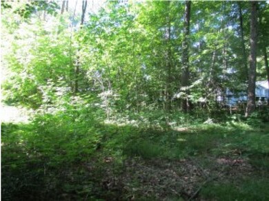 36 Pollard Rd, Lincoln, NH 03251 - photo 2