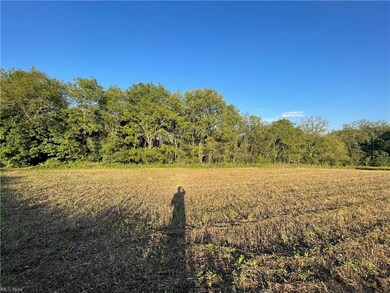 0 Poland Unity Rd unit 4314523, East Palestine, OH 44413 - photo 4