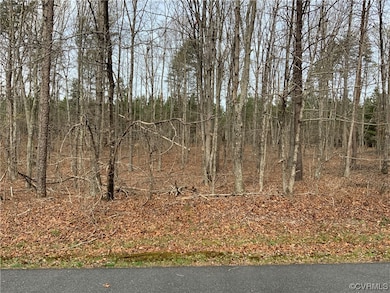 209 Pinehurst Dr, Louisa, VA 22942 - photo 2