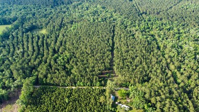 Blue Sparks SC Land for Sale-02