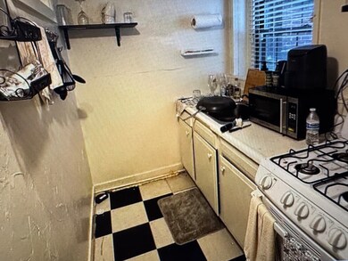 54 River St unit B, Boston, MA 02126 - photo 6