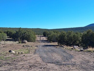 86 County Road 8227, Concho, AZ 85924 - photo 3
