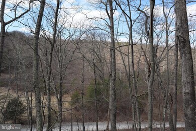 2023 Posey Hollow Rd, Berkeley Springs, WV 25411 - photo 7