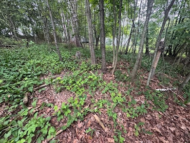 2 Selden St, Worcester, MA 01605 - photo 4