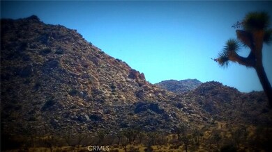 0 La Contenta Dr unit JT17000331, Joshua Tree, CA - photo 7