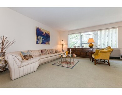 Hammond Park Condominiums unit 405, Chestnut Hill, MA 02467 - photo 4