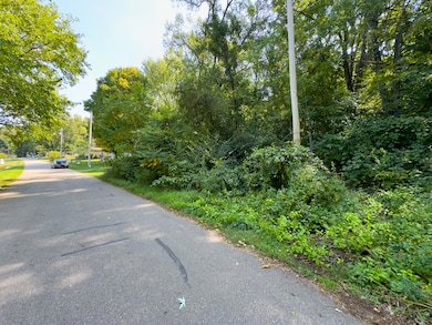 Lot 45 Walnut Dr, Three Rivers, MI 49093 - photo 7