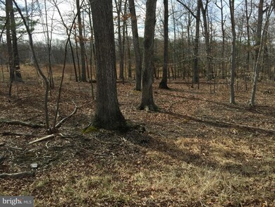 9881 Oxcrest Dr, Fairfax Station, VA 22039 - photo 5