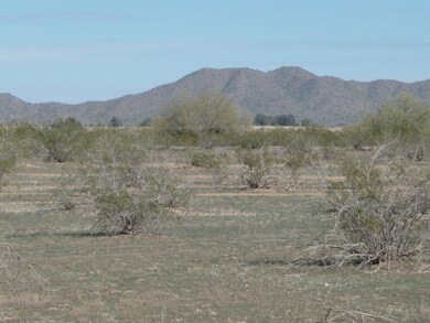 Patti's land 002