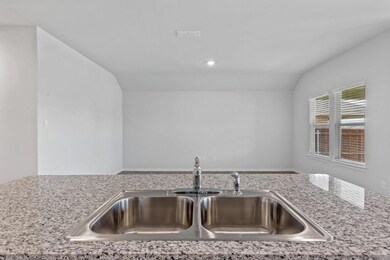 529 Bronze Cir E, Springtown, TX 76082 - photo 6