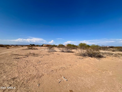 208xx W Desert Mirage (503-48-063-p) Dr unit n/a, Wittmann, AZ 85361 - photo 5