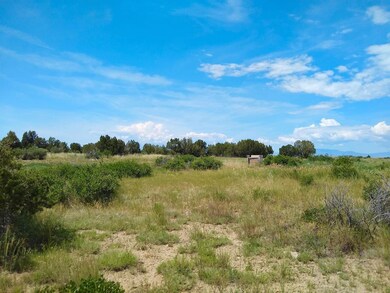 0 Carlson Rd unit 20656187, Rye, CO 81069 - photo 3