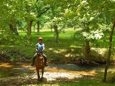 Horse Trails/ATV Trails have been made all through the property