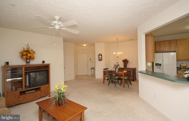2503 Amber Orchard Ct W unit U204, Odenton, MD 21113 - photo 4