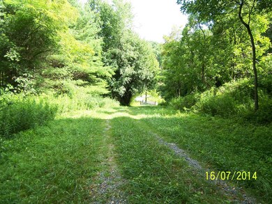 zipdrivephotos 057