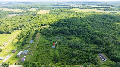 Drone / aerial view of a heavily wooded area