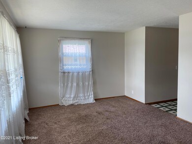 Carpet in living room