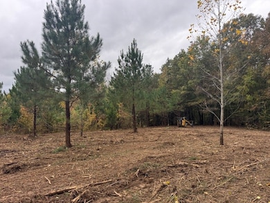 0 Barren Fork Dr unit RTC3034041, Bon Aqua, TN 37025 - photo 7