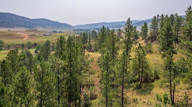 TBD Stardust Pass unit Lot 5, Hot Springs, SD 57747 - photo 6