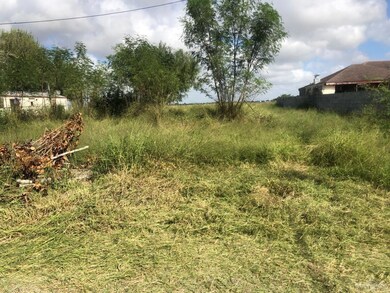 000 Tazz St, Donna, TX 78537 - photo 3