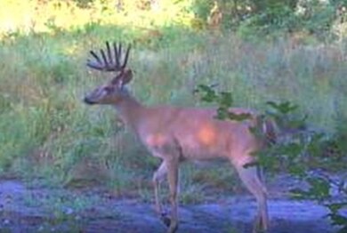 0 37th St, Gobles, MI 49055 - photo 5