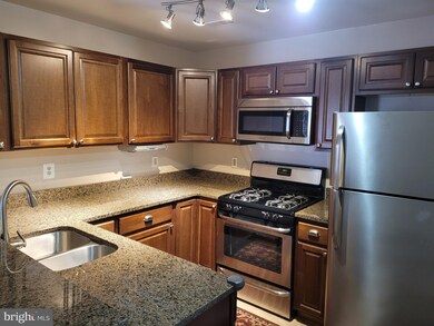 4 Tyler Falls Ct unit A, Baltimore, MD 21209 - photo 7