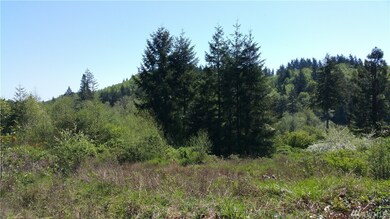 0 Holcomb Rd unit 928424, Napavine, WA 98532 - photo 2