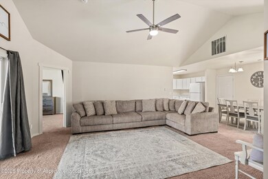 209 Cliff View Cir, Parachute, CO 81635 - photo 7
