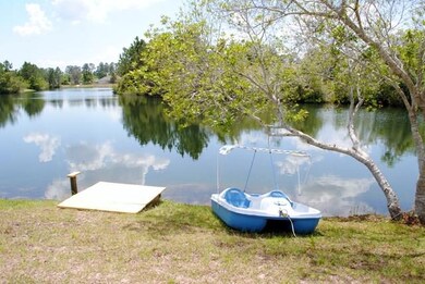 Paddle boat/dock