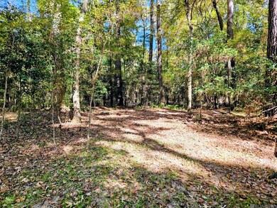 TBD Tunica Trace, Saint Francisville, LA 70775 - photo 6